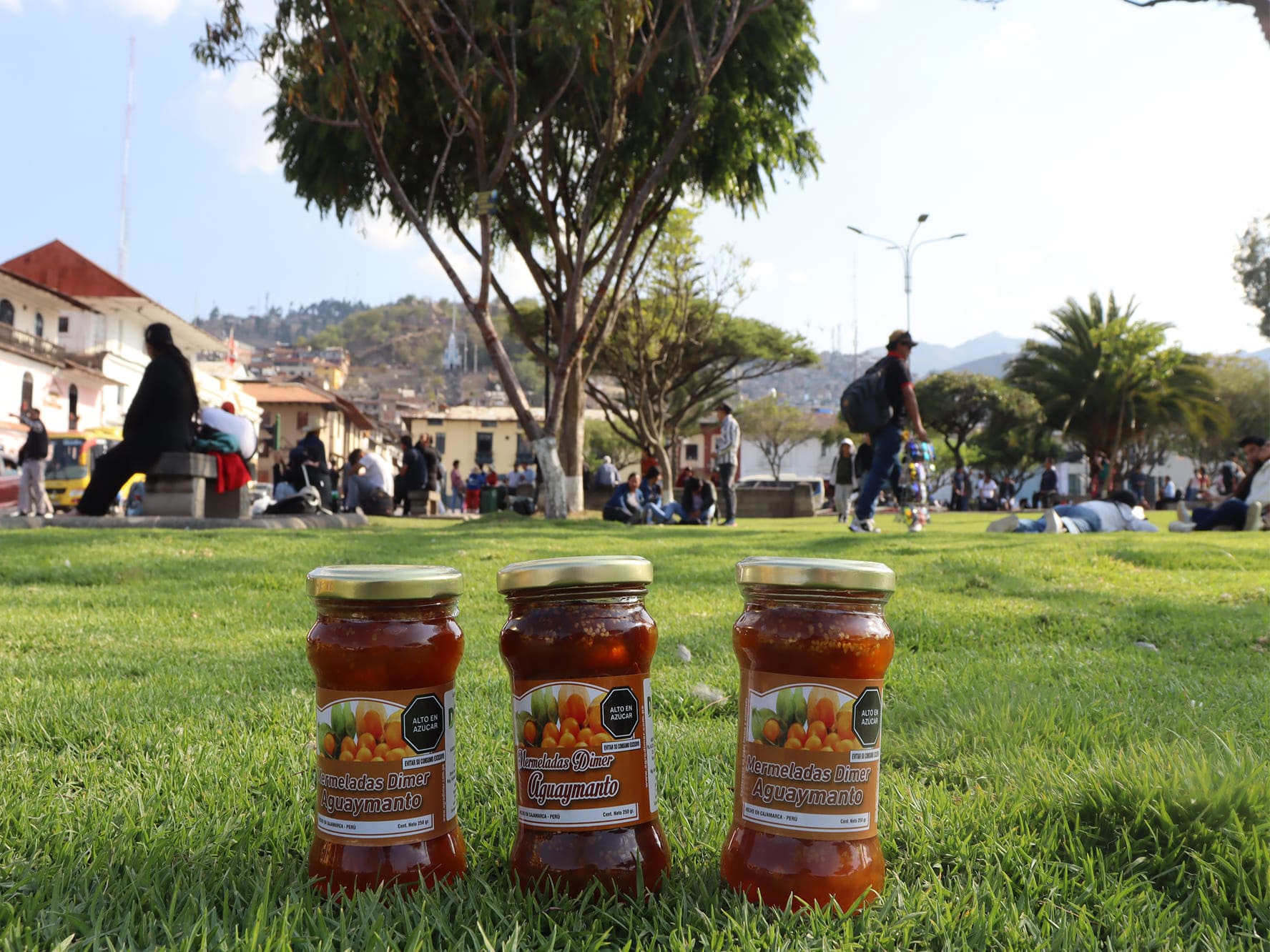 Mermelada de Aguaymanto 350 gramos