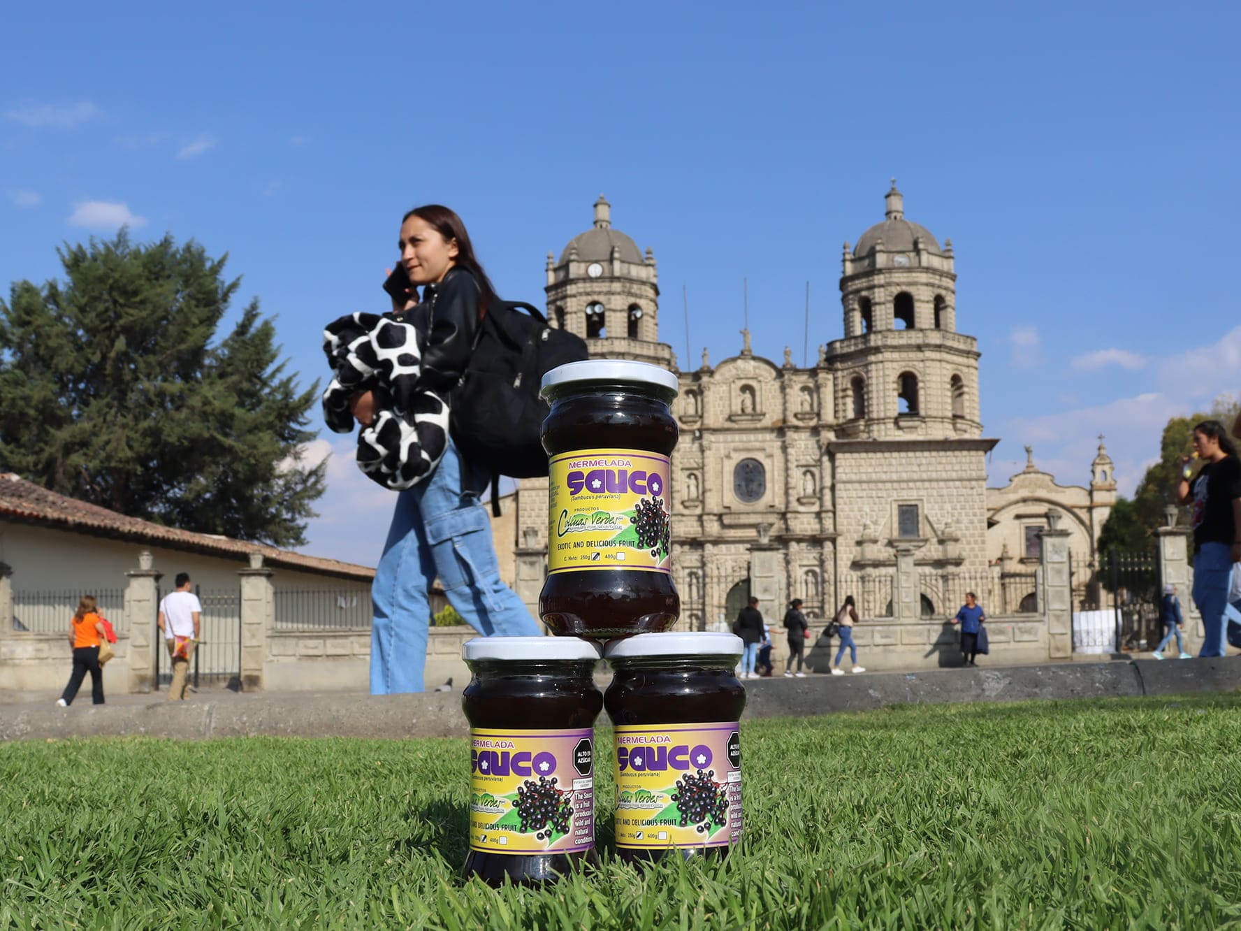 Mermelada de Sauco 350 gramos