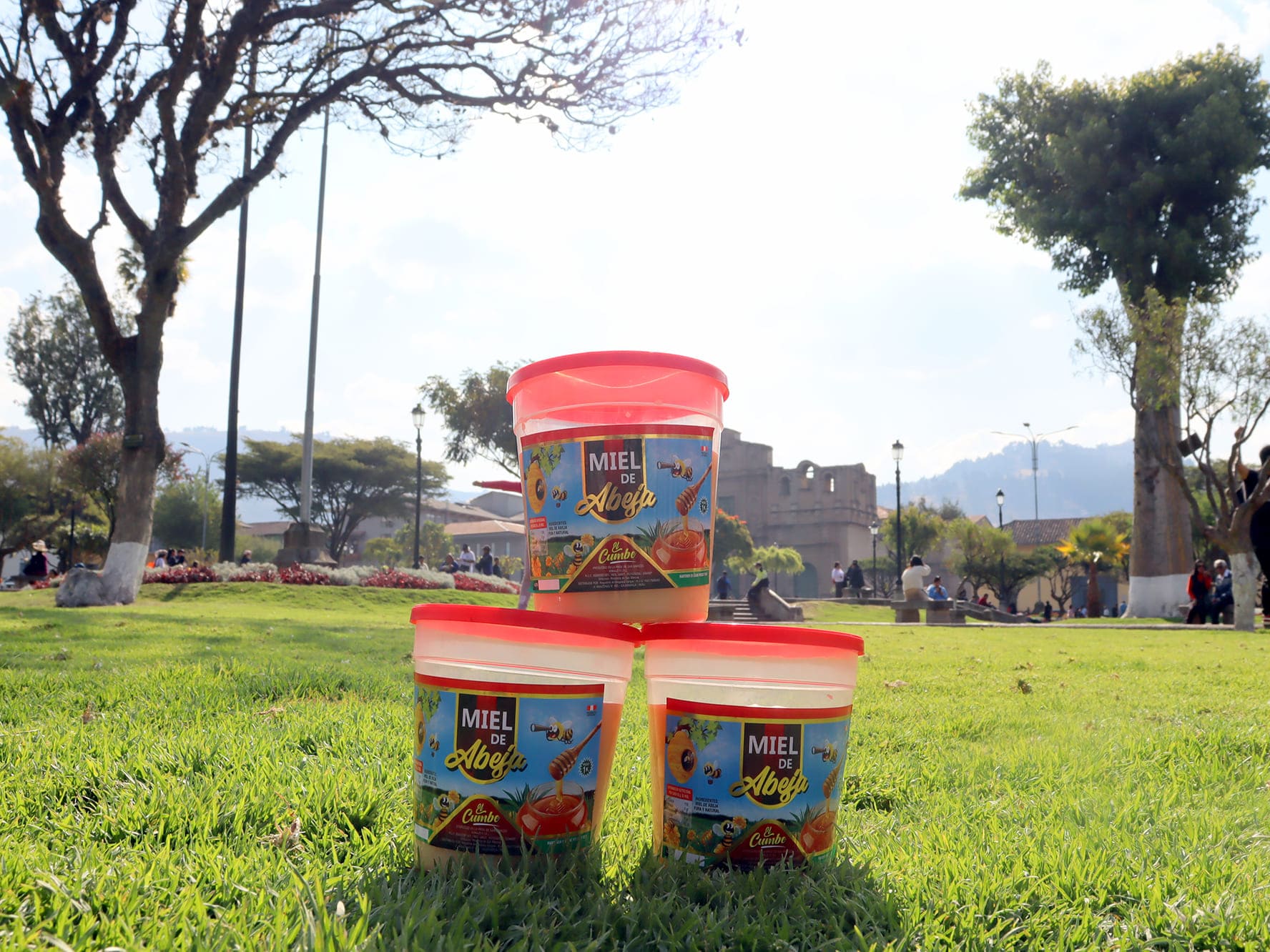 Miel de Abeja 1 Kilo