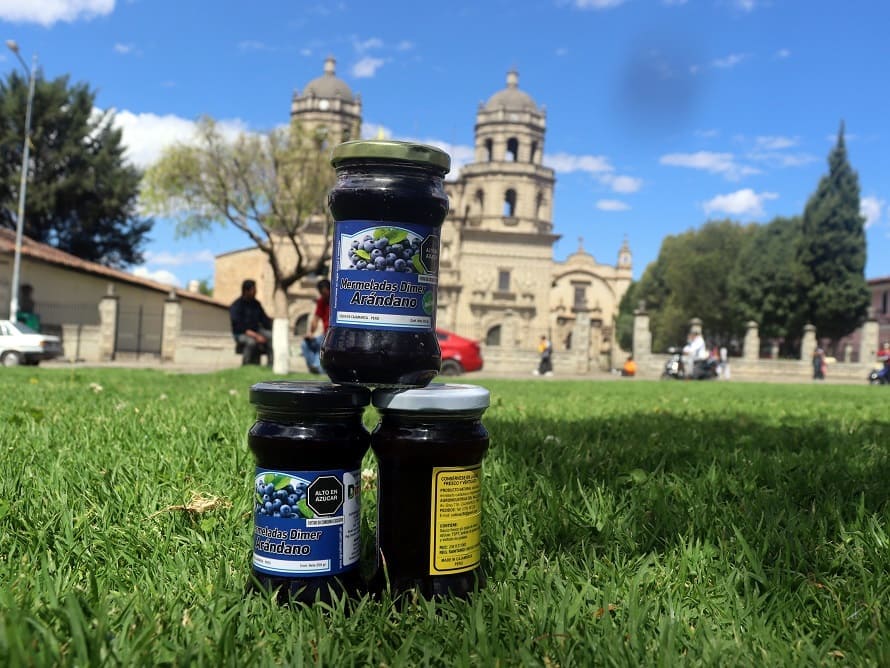 Mermelada de Arándano 350 gramos