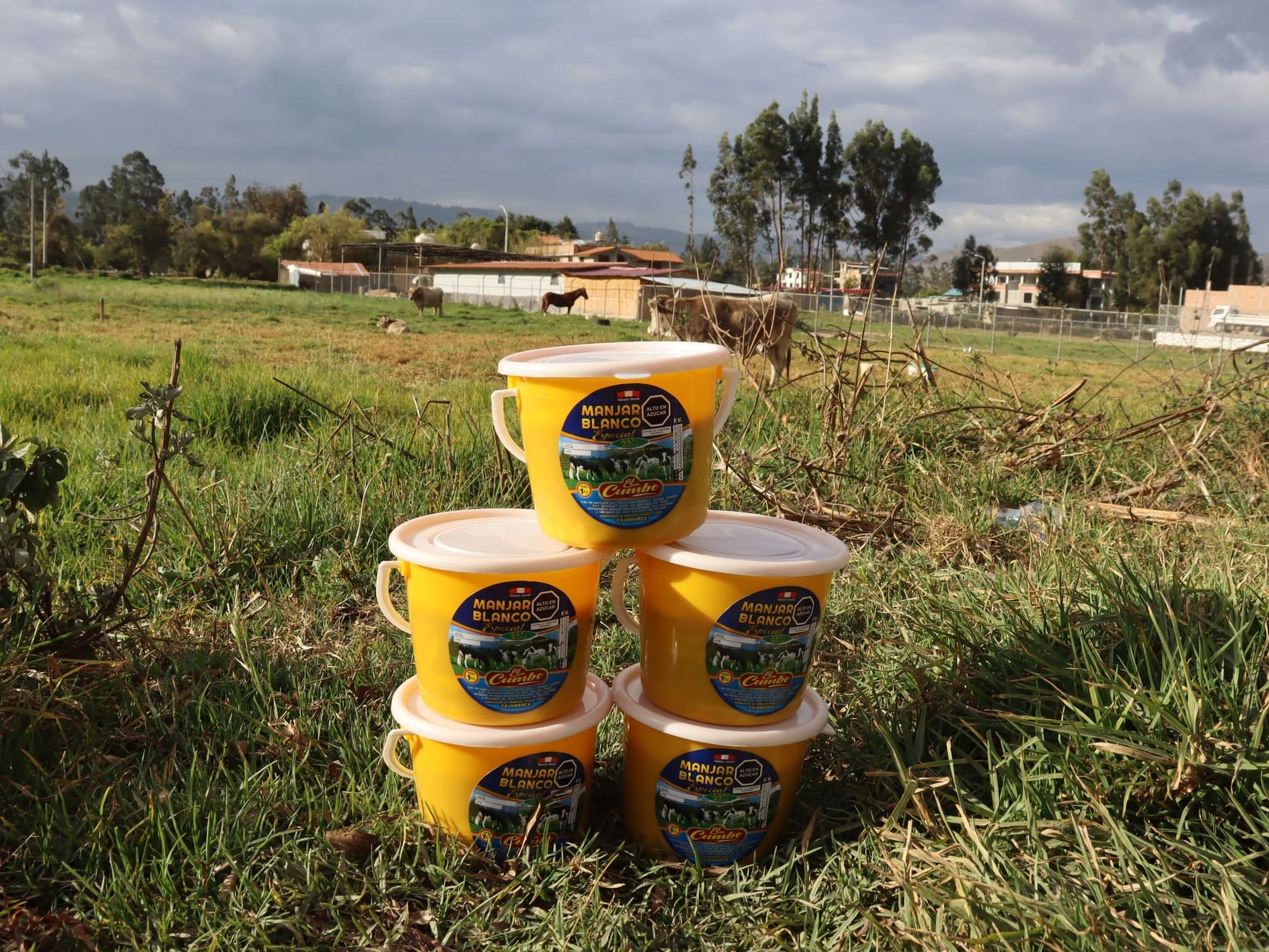 manjar blanco 1 kilogramo