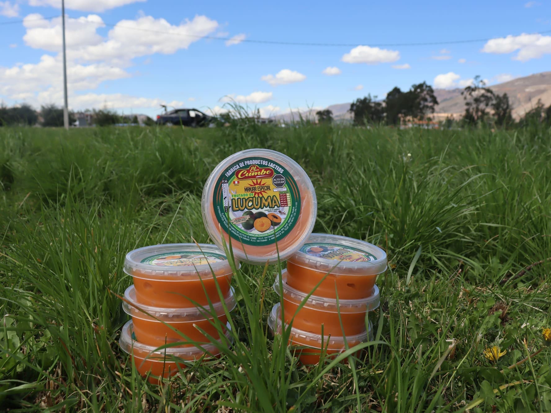 manjar blanco lúcuma 250 gramos