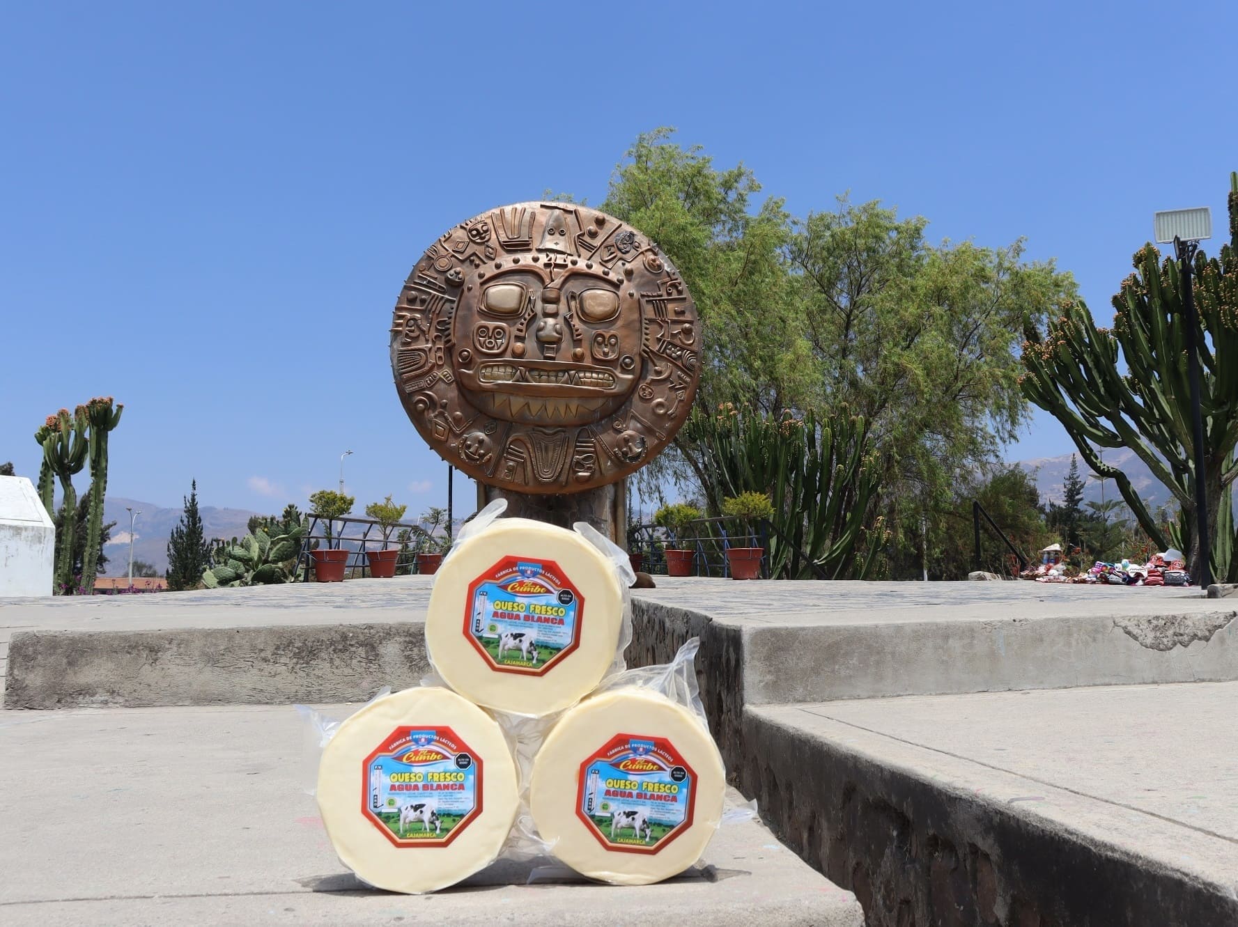 queso fresco 1 kilogramo