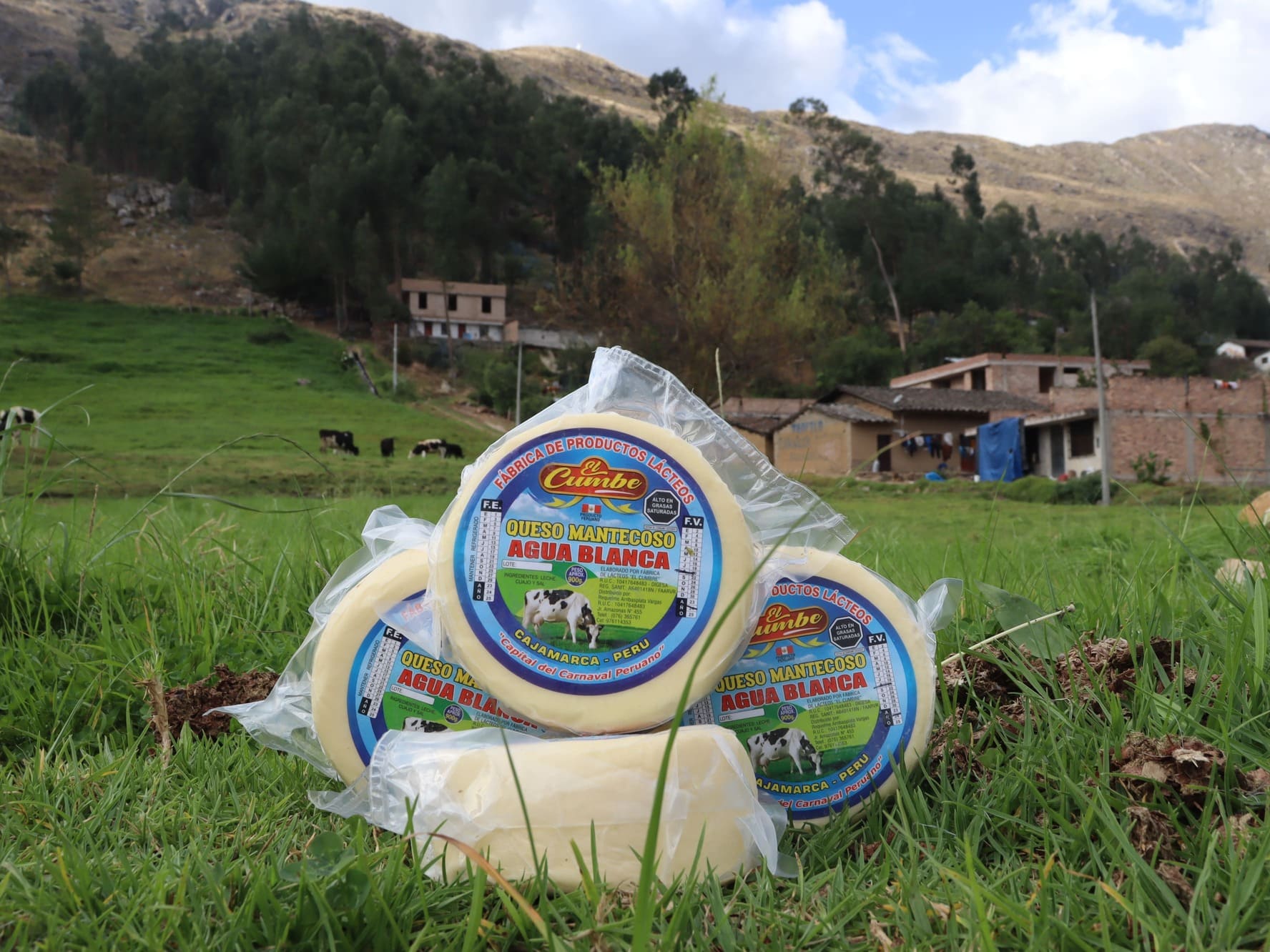 queso mantecoso 1 kilo