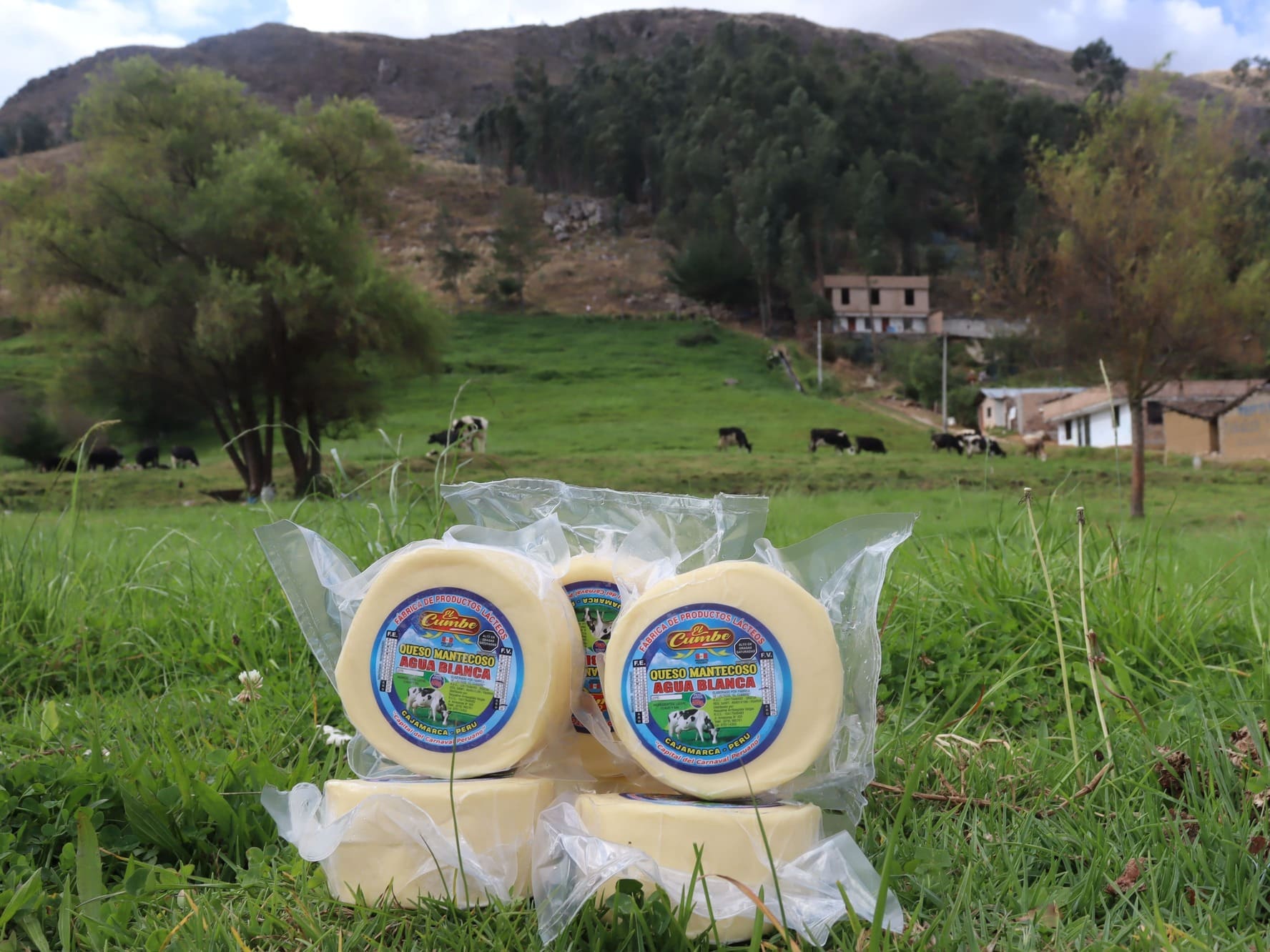 queso mantecoso medio kilo