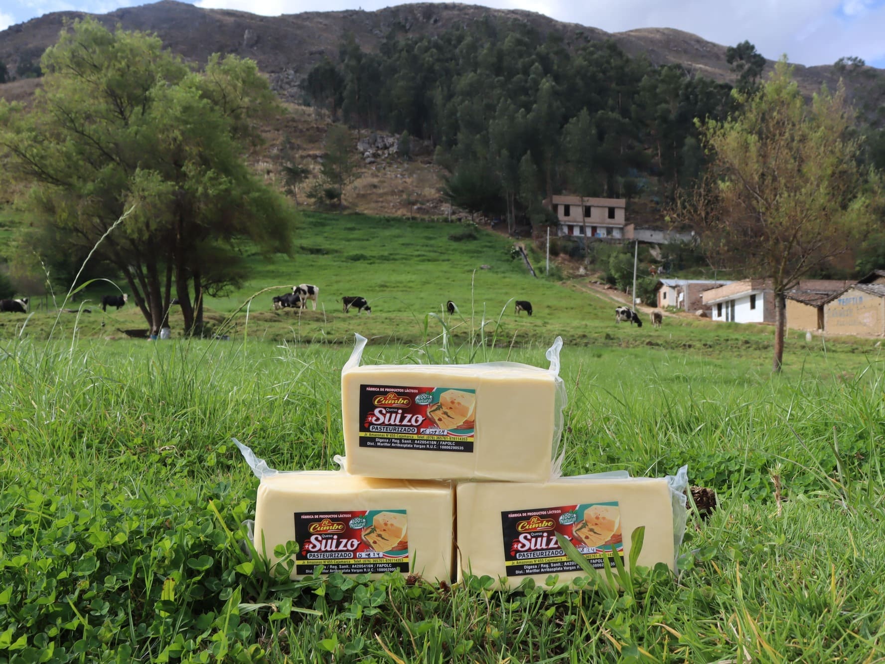 Suizo pasteurized kilo