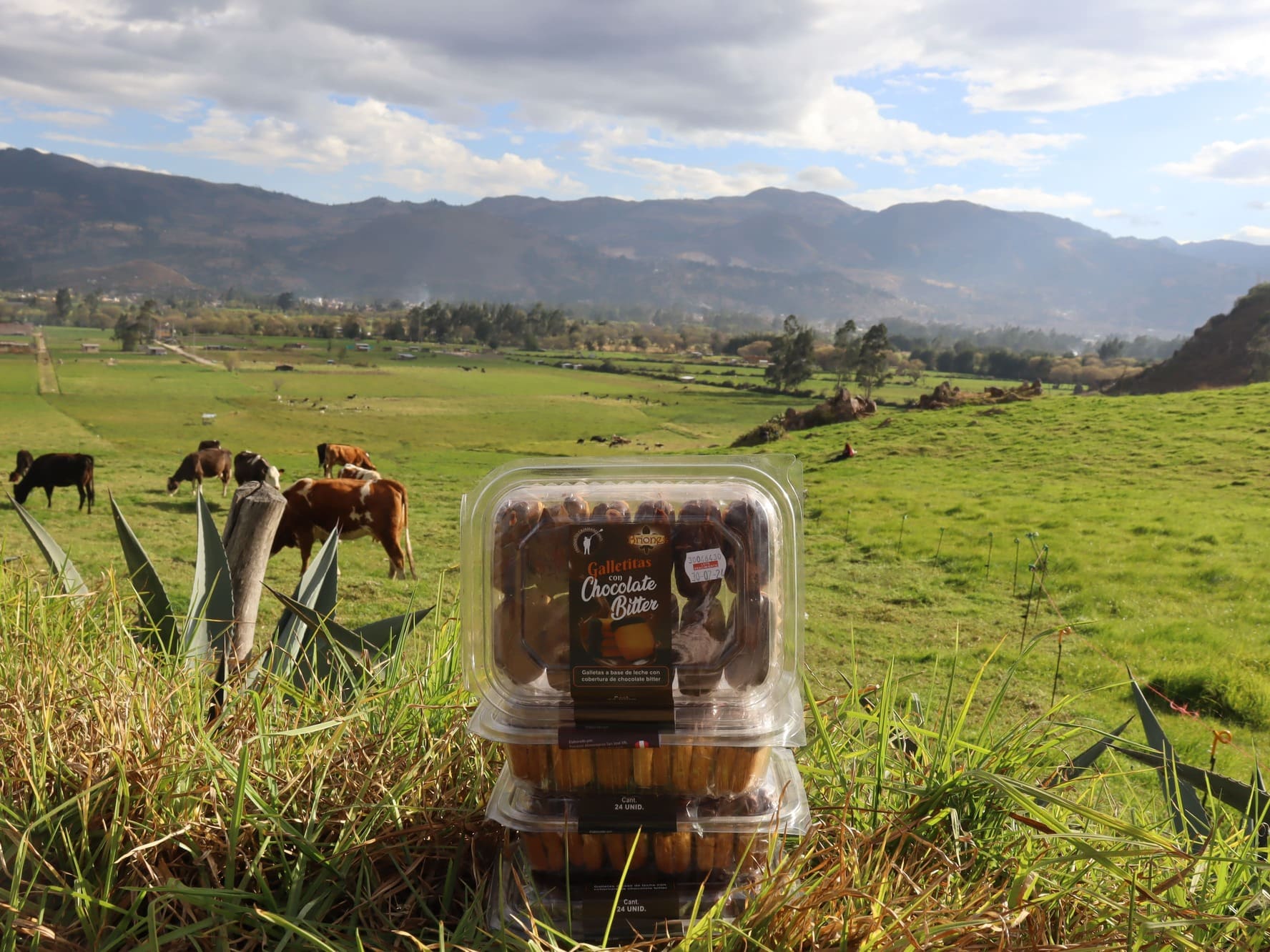 Galletas con Chocolate 500 gramos
