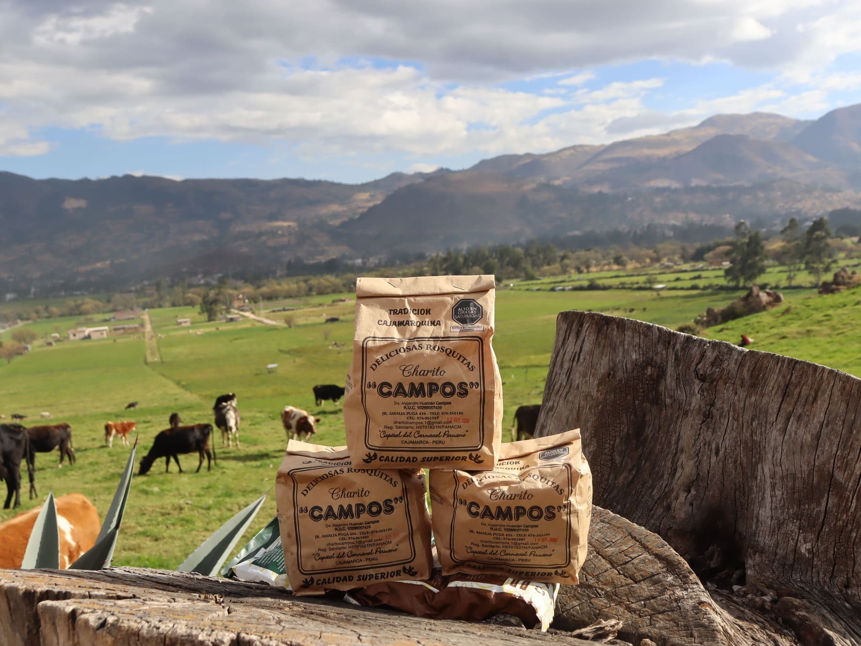 Roscas Campos 500 gramos